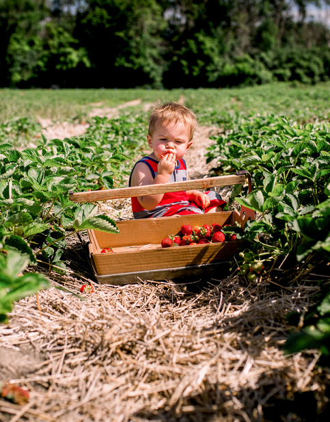 Humana Baby sitzt in einem Feld