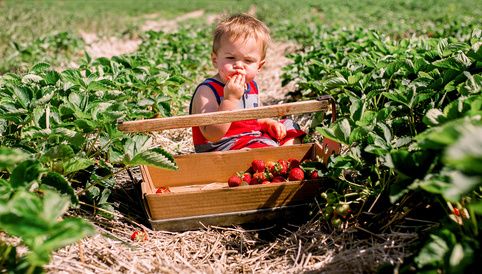 Humana Baby sitzt in einem Feld