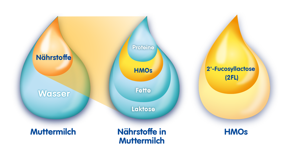 Humana Bestandteile Muttermilch HMO